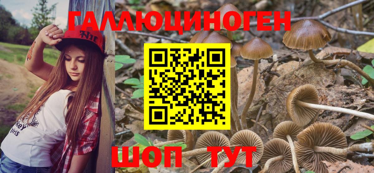 Лиски  Псилоцибиновые грибы GOLDEN TEACHER  Вход с VPN 