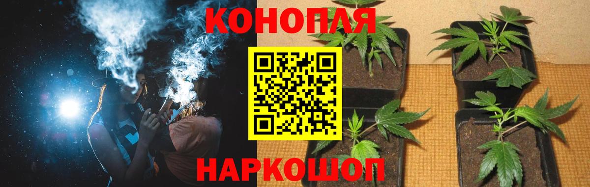 Шишки марихуана тримм  Каннабис марихуана  Вход с VPN  Каннабис Amnesia  Лиски 